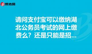 党费网上无法缴如何处理